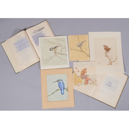 611 - Alfred Brailsford, group of watercolour studies of birds, together with an original typed book by th... 