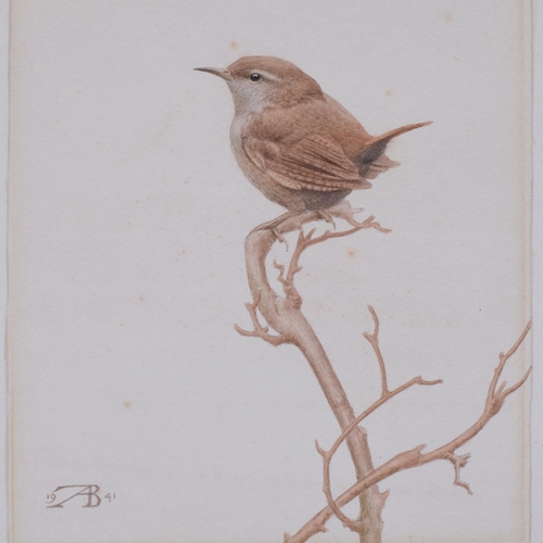 611 - Alfred Brailsford, group of watercolour studies of birds, together with an original typed book by th... 