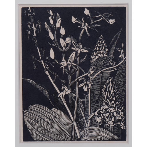 657 - John Northcote Nash (1893-1977), wood engraving on paper, Orchids, 14cm x 10.7cm, mounted, glazed an... 