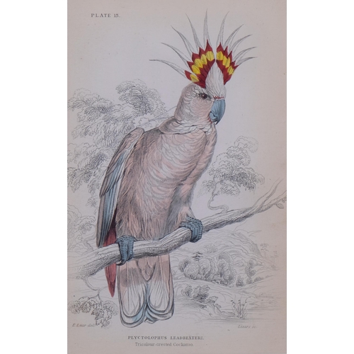 664 - Edward Lear (1812-1888), hand-coloured lithograph on paper, Tricolour-crested Cockatoo (1836), 14.7c... 