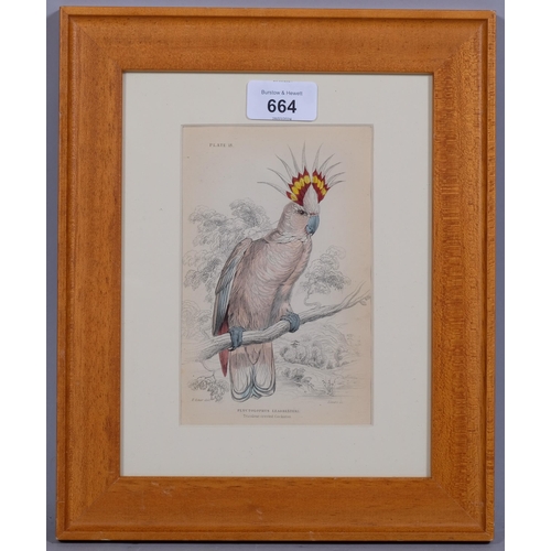 664 - Edward Lear (1812-1888), hand-coloured lithograph on paper, Tricolour-crested Cockatoo (1836), 14.7c... 