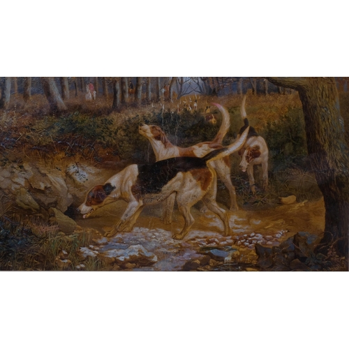 680 - Edward Algernon Douglas (1850 - 1920), foxhounds in woodland, pair of oils on card, signed, 30cm x 5... 