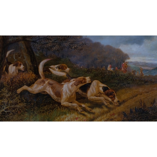 680 - Edward Algernon Douglas (1850 - 1920), foxhounds in woodland, pair of oils on card, signed, 30cm x 5... 