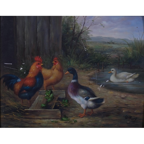 692 - Contemporary study, poultry in the farmyard, oil on board, 20cm x 24cm, framed