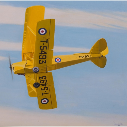 695 - A M Alderson, pair of studies of biplanes, oils on board, signed and dated 1991, 38cm x 50cm, framed