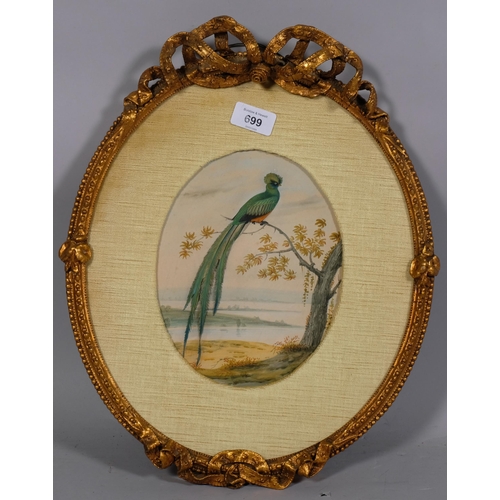 699 - 19th century study of an exotic bird, watercolour/applique, unsigned, in ornate gilt-gesso ribbon fr... 