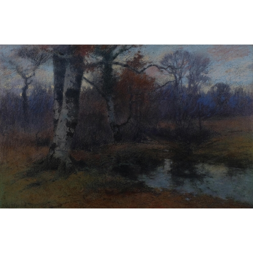 739 - 19th century wooded landscape, coloured pastels, unsigned, 50cm x 75cm, framed and glazed