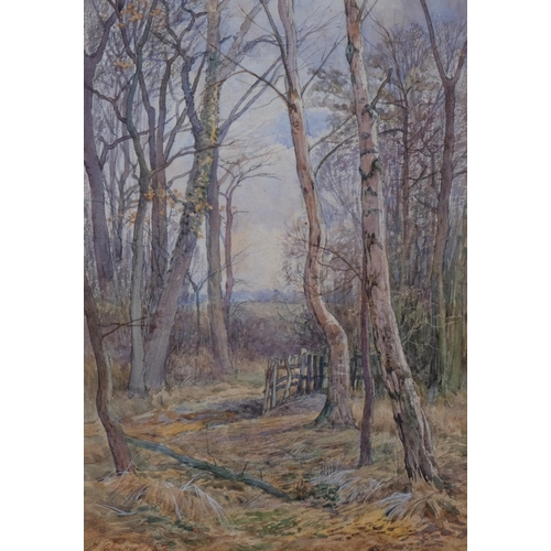 746 - E Davies, 2 woodland scenes, watercolour, signed and dated 1883, 25cm x 17cm, framed