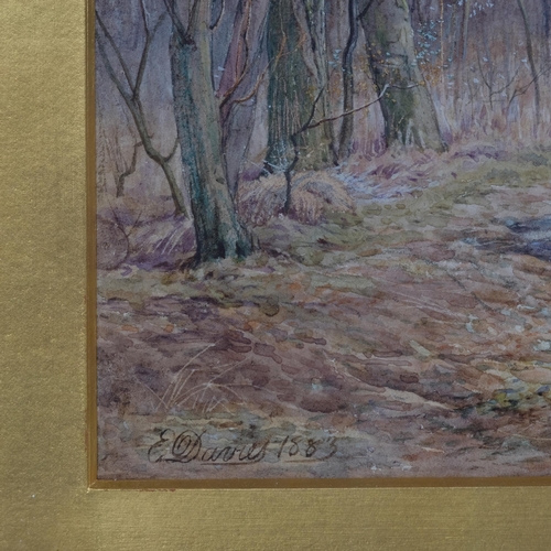 746 - E Davies, 2 woodland scenes, watercolour, signed and dated 1883, 25cm x 17cm, framed