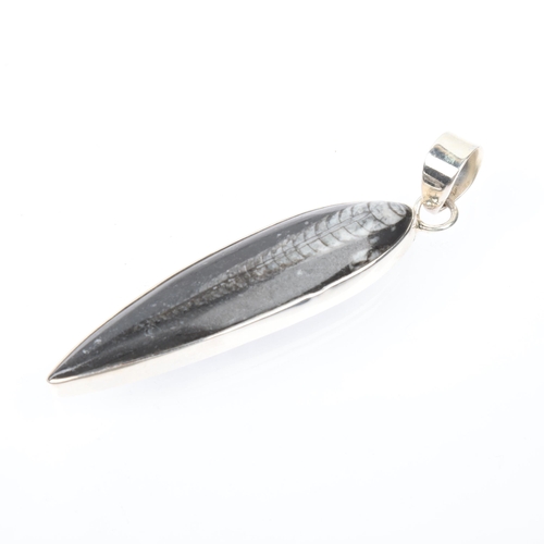 1449 - A large sterling silver orthoceras fossil drop pendant, London 2006, 94.4mm, 22.9g