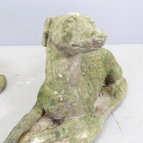 161 - A pair of weathered concrete garden statues, studies of Greyhounds. 60x35x23cm.