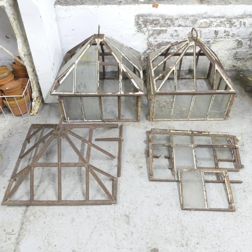 162 - A pair of similar Victorian cloches with iron frames and glass panels, largest 50x49cm, and parts of... 