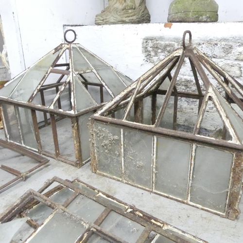 162 - A pair of similar Victorian cloches with iron frames and glass panels, largest 50x49cm, and parts of... 