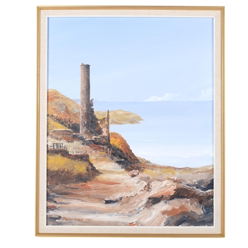 937 - Peter Oldole (1982), oil on canvas, study of a Cornish mine, framed, 55cm x 45cm overall