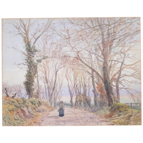 939 - Watercolour, figure on an autumnal country lane, framed, 43cm x 50cm overall