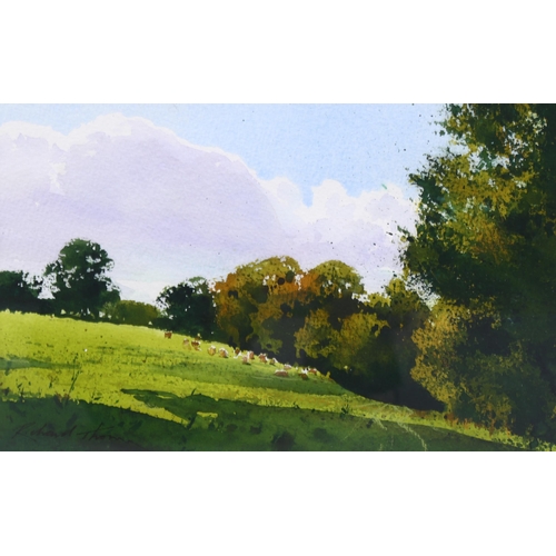 800 - Richard Thorn, summer pasture, watercolour, signed, 16cm x 25cm, framed