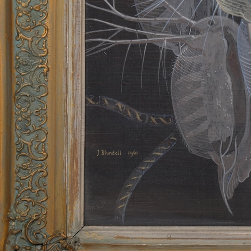 508 - J Blundell, common sand flea, tempera on card, signed and dated 1961, 34cm x 27cm, framed