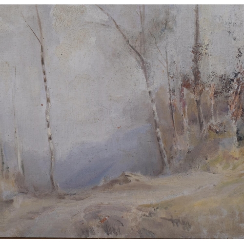 524 - Impressionist woodland scene, mid-20th century oil on board, unsigned, 28cm x 39cm, framed