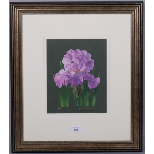 544 - Sally Kerr, bearded iris (botanical study), gouache on paper, signed, 25cm x 20cm, framed