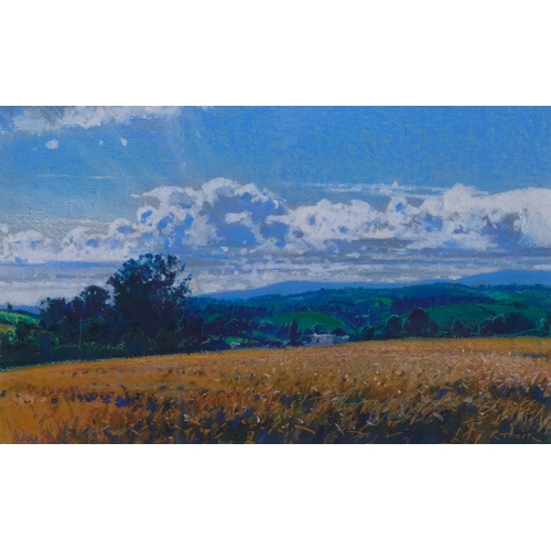 545 - Richard Thorn, mid summer, coloured pastels on paper, signed, 25cm x 40cm, framed