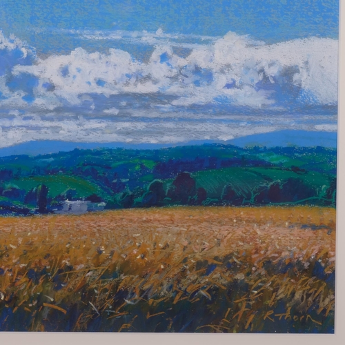 545 - Richard Thorn, mid summer, coloured pastels on paper, signed, 25cm x 40cm, framed