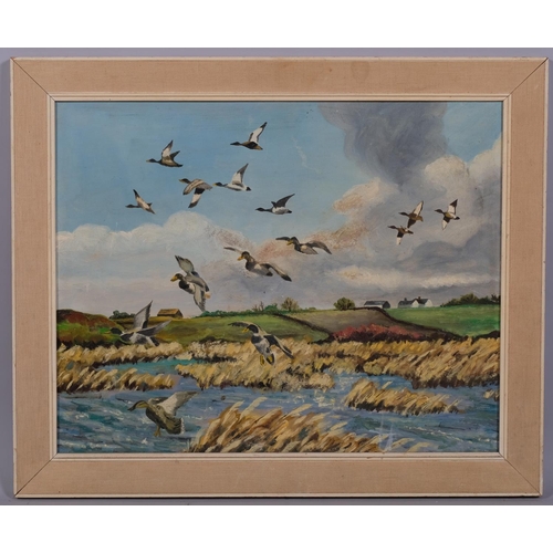 571 - J Robson, mallards over a lake, oil on board, signed, 40cm x 51cm, framed