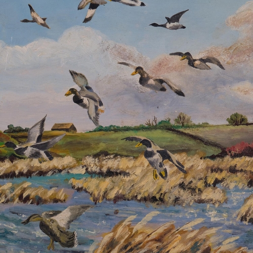 571 - J Robson, mallards over a lake, oil on board, signed, 40cm x 51cm, framed