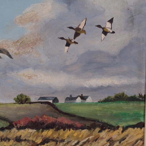 571 - J Robson, mallards over a lake, oil on board, signed, 40cm x 51cm, framed