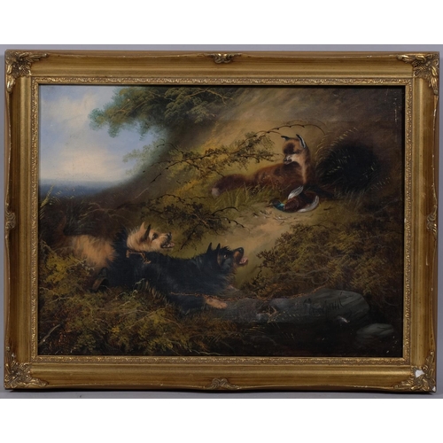 621 - Manner of George Armfield, Terriers ratting, pair of 19th century oils on canvas, signed, 30cm x 40c... 