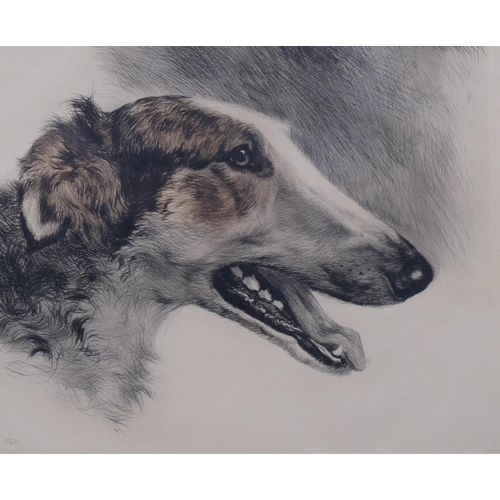 623 - Kurt Meyer-Eberhardt, portrait of a Borzoi dog, coloured etching, signed in pencil, plate 24cm x 30c... 