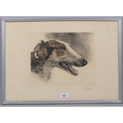 623 - Kurt Meyer-Eberhardt, portrait of a Borzoi dog, coloured etching, signed in pencil, plate 24cm x 30c... 