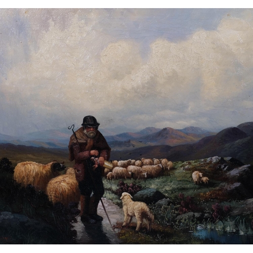 635 - WITHDRAWN - B Davis, shepherd and sheep in the mountains, oil on canvas, signed, 50cm x 75cm, framed