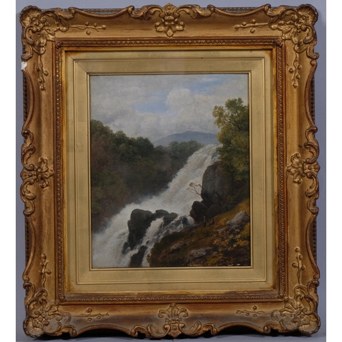 641 - Edmund Gill (1820 - 1894), waterfall, oil on board, signed and dated 1879 with original label verso,... 