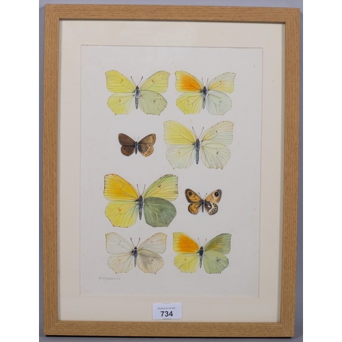 734 - Brian Hargreaves (1935-2011), watercolour on paper, Brimstone and related butterflies, 26.5 cmx 17cm... 