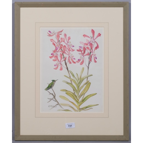 741 - Kathleen Smart (XX-XXI), watercolour on paper, Humming Bird with Orchids, signed, 34cm x 24.5cm. Pro... 