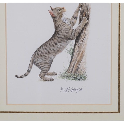 744 - M.McGregor (XX-XXI), signed print on paper, Tabby Cat Scratching Tree, signed in ink, 10cm x 9cm, mo... 