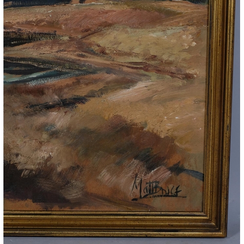 768 - Matt Bruce, river scene, oil on board, signed, 50cm x 60cm, framed