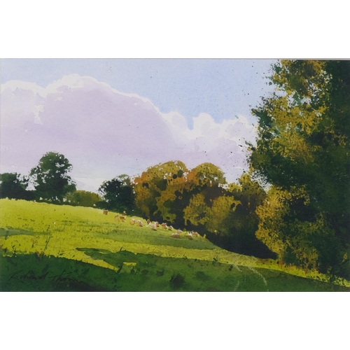 800 - Richard Thorn, summer pasture, watercolour, signed, 16cm x 25cm, framed