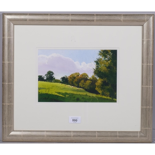 800 - Richard Thorn, summer pasture, watercolour, signed, 16cm x 25cm, framed