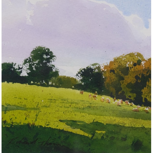 800 - Richard Thorn, summer pasture, watercolour, signed, 16cm x 25cm, framed