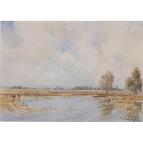 803 - A H Baxter, rural landscape, watercolour, signed, 24cm x 34cm, framed