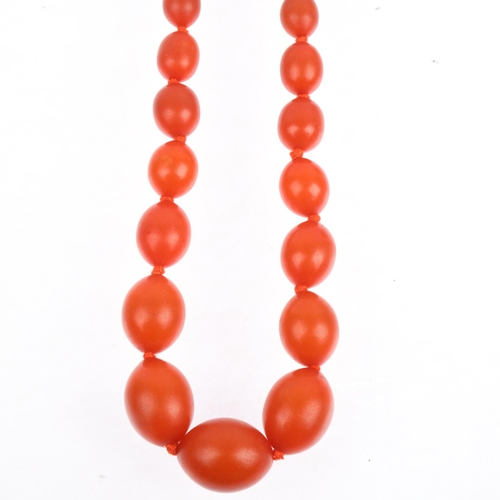 1528 - A single-strand graduated amber? bead necklace, beads measure: 24-8.6mm, 42cm, 47.5g