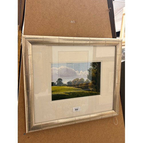 800 - Richard Thorn, summer pasture, watercolour, signed, 16cm x 25cm, framed