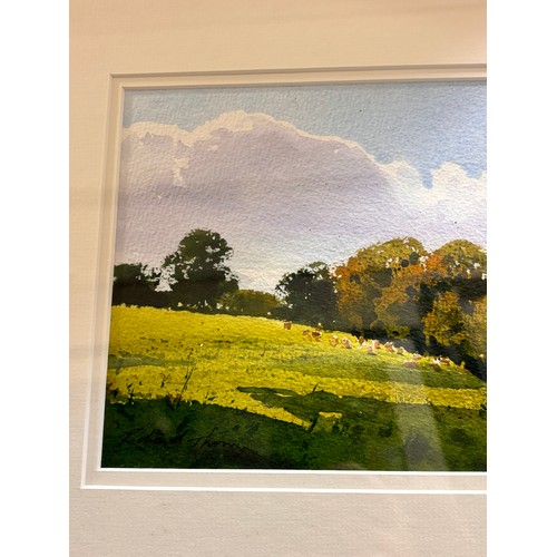 800 - Richard Thorn, summer pasture, watercolour, signed, 16cm x 25cm, framed