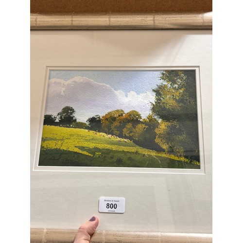 800 - Richard Thorn, summer pasture, watercolour, signed, 16cm x 25cm, framed