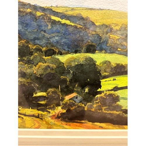 546 - Richard Thorn, Devon landscape, watercolour, signed, 23cm x 37cm, framed