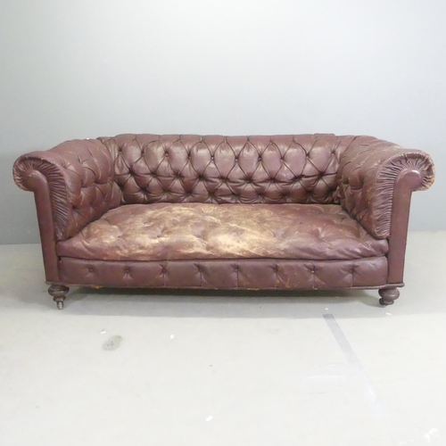 2635 - A Victorian buttonback studded leather upholstered Chesterfield style sofa. Overall 183x74x80cm, sea... 