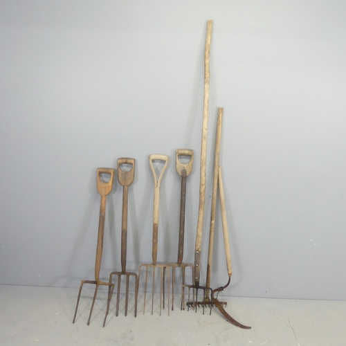 2636 - Seven antique garden tools, to include a rake, five forks and a scythe.