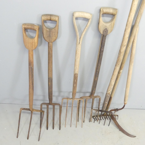 2636 - Seven antique garden tools, to include a rake, five forks and a scythe.