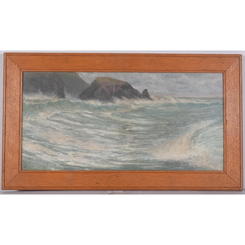 1103 - H Griffin, seascape, oil on canvas, signed and dated 1895, 24cm x 50cm, framed and glazed